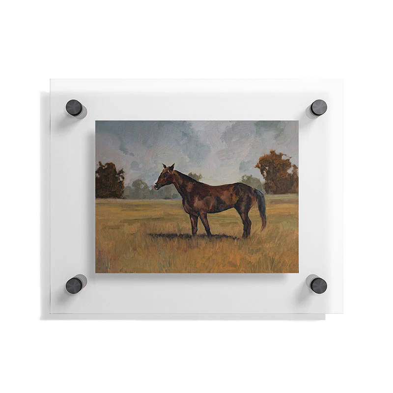 Miss Mustard Seed Runaway Rocky Floating Acrylic Print - Image 5