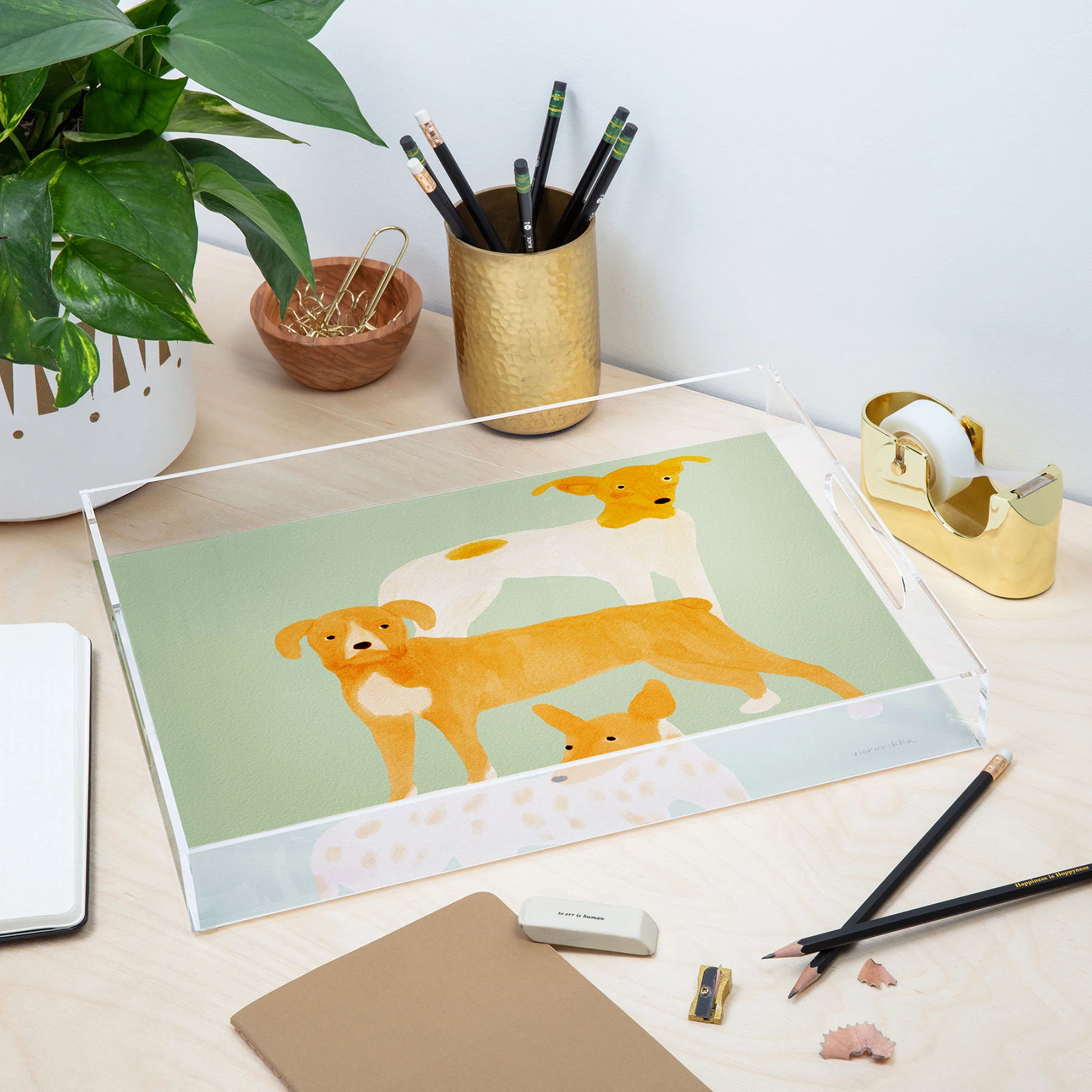 norarikka Three Dogs Lined Up Acrylic Tray - Image 11