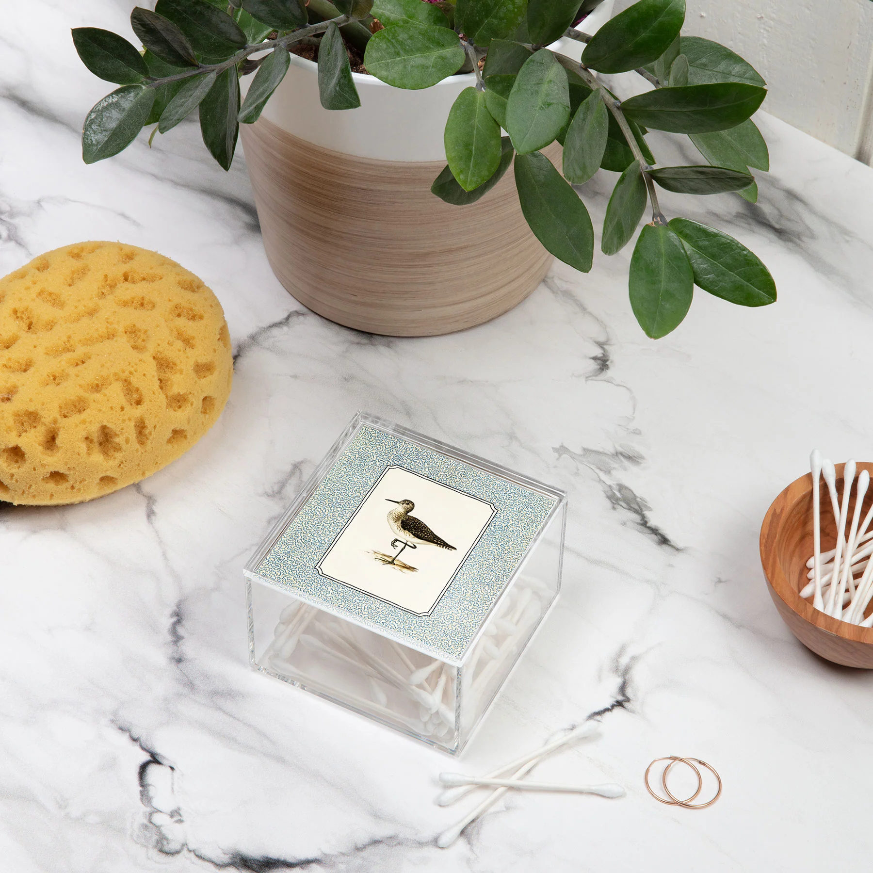 Oh Fine! Art Balancing Sandpiper Acrylic Box - Image 4