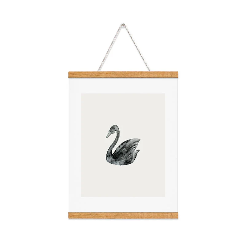 Pink Water Elegant black white swan Art Print - Image 31