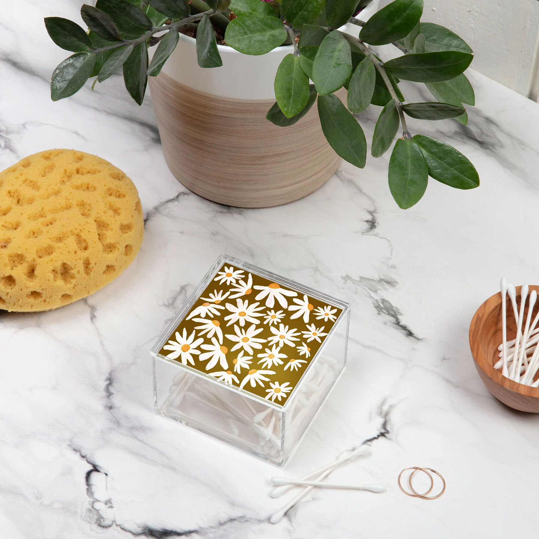 RosebudStudio Bloodroot Acrylic Box - Image 4