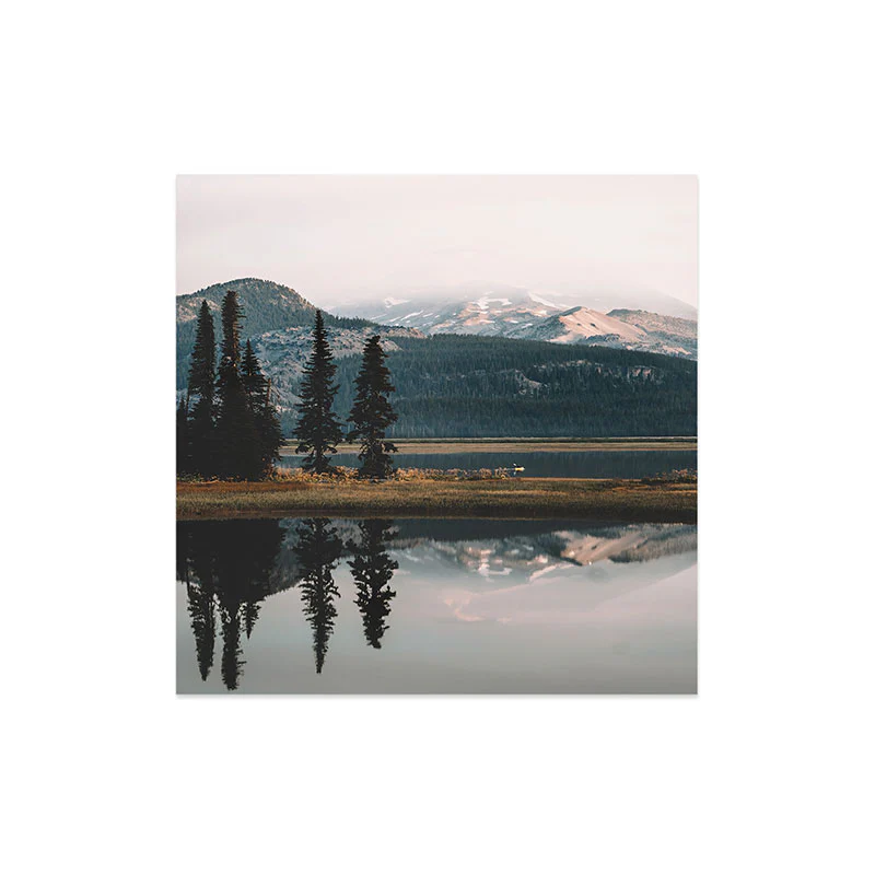Rustic Bones Sparks Lake Art Print - Image 16